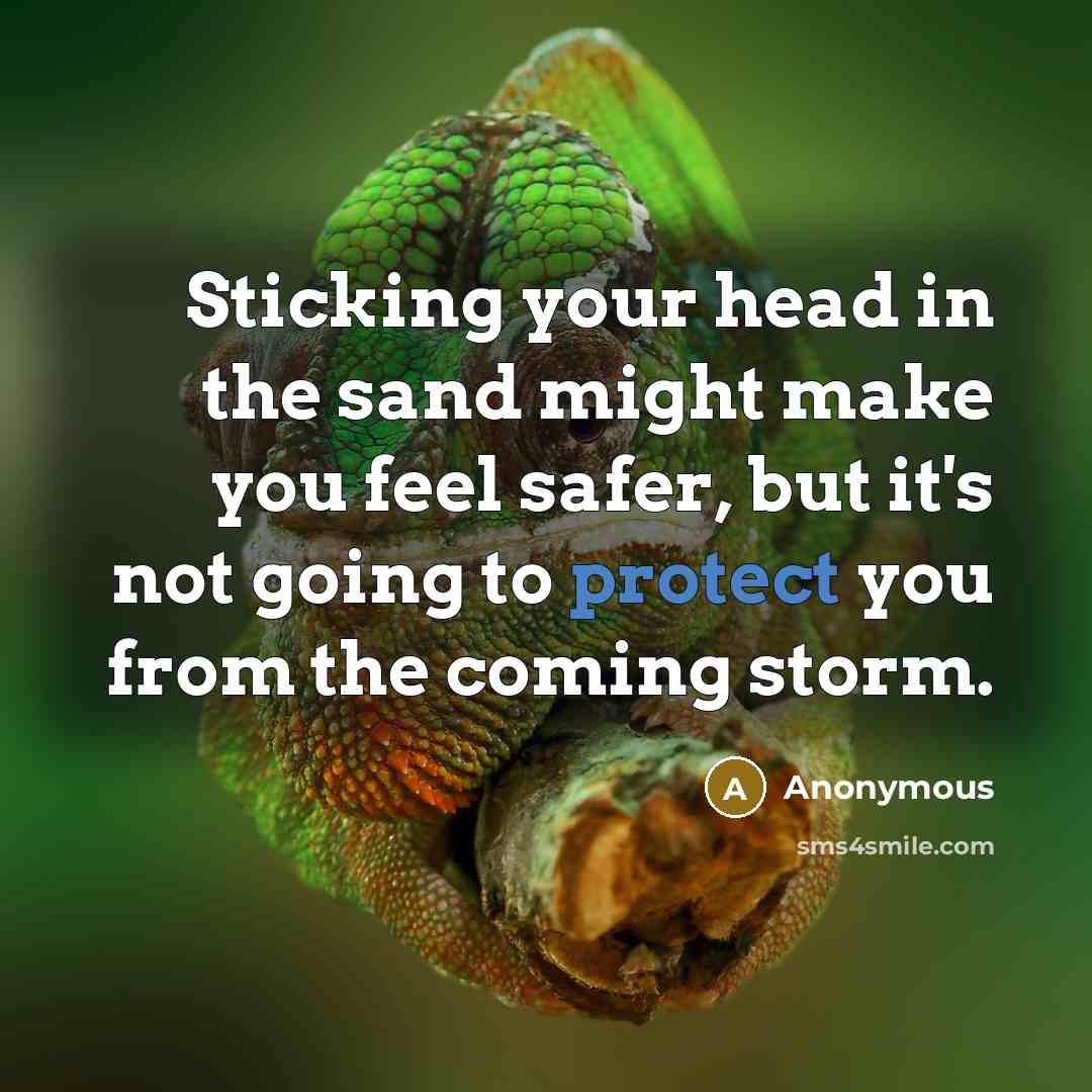 “Sticking your head in the sand might make you feel…” quote by Anonymous