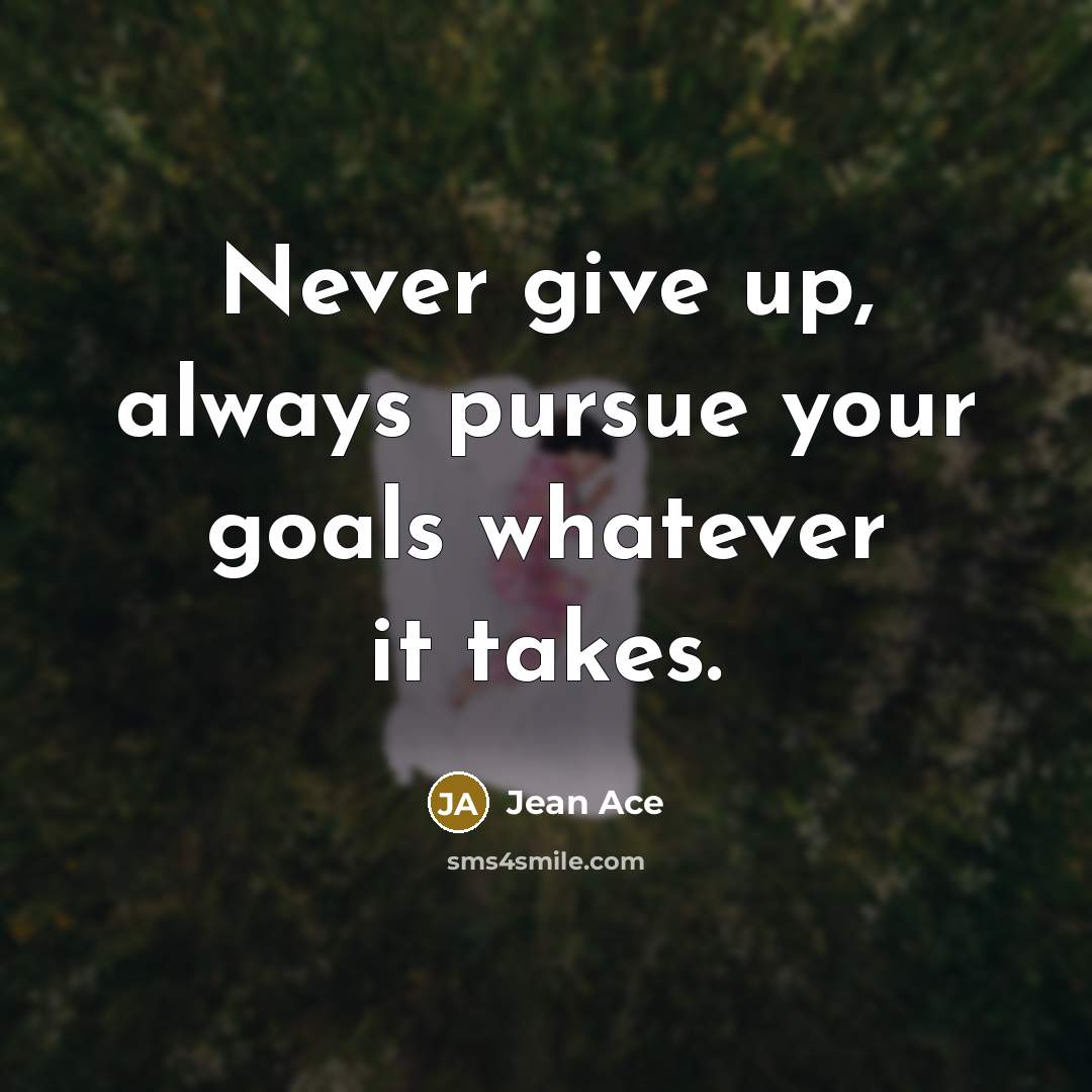 “Never give up, always pursue your goals whatever it takes.” quote by Jean Ace