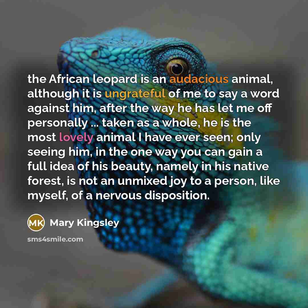 “the African leopard is an audacious animal, although it is…” quote by Mary Kingsley