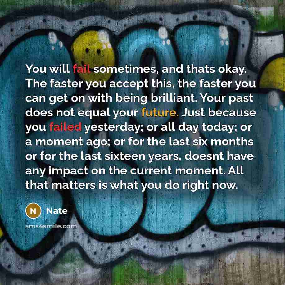 “You will fail sometimes, and thats okay. The faster you accept this, the faster you can get on with being brilliant. Your past does not equal your future. Just because you failed yesterday; or all day today; or a moment ago; or for the last six months or for the last sixteen years, doesnt have any…” quote by Nate