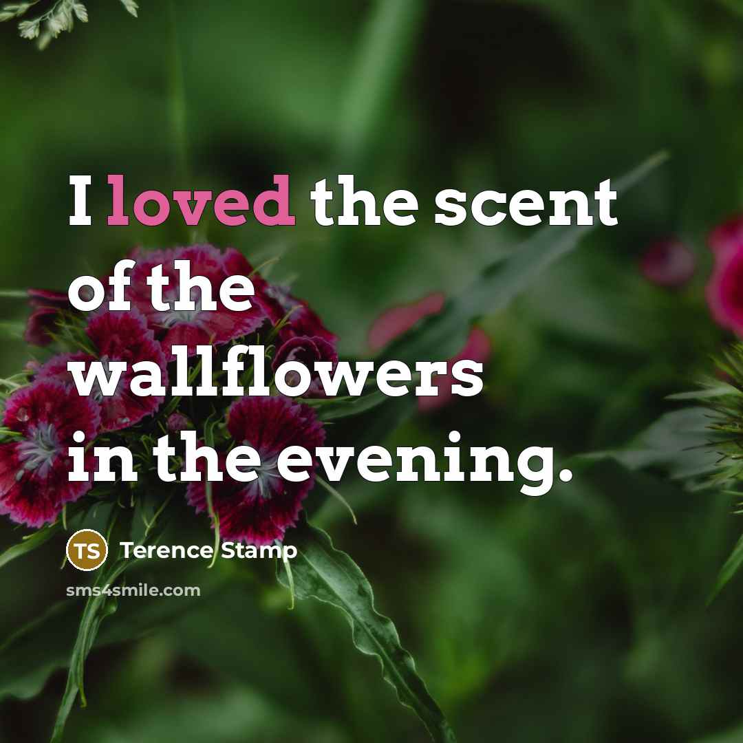 “I loved the scent of the wallflowers in the evening.…” quote by Terence Stamp