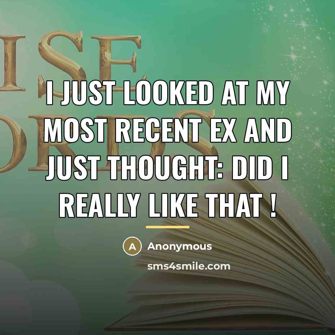 “I just looked at my most recent ex and just…” quote by Anonymous
