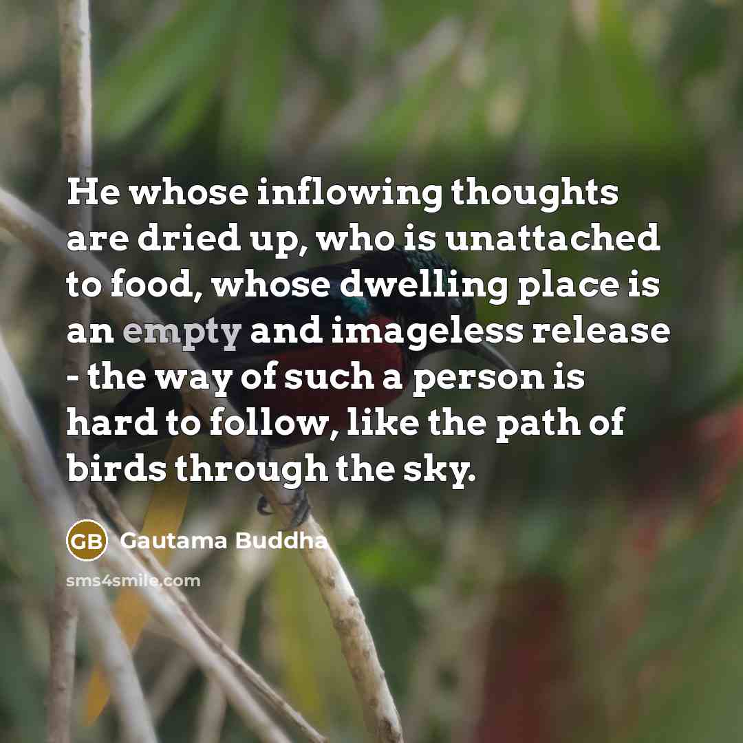 “He whose inflowing thoughts are dried up, who is unattached…” quote by Gautama Buddha