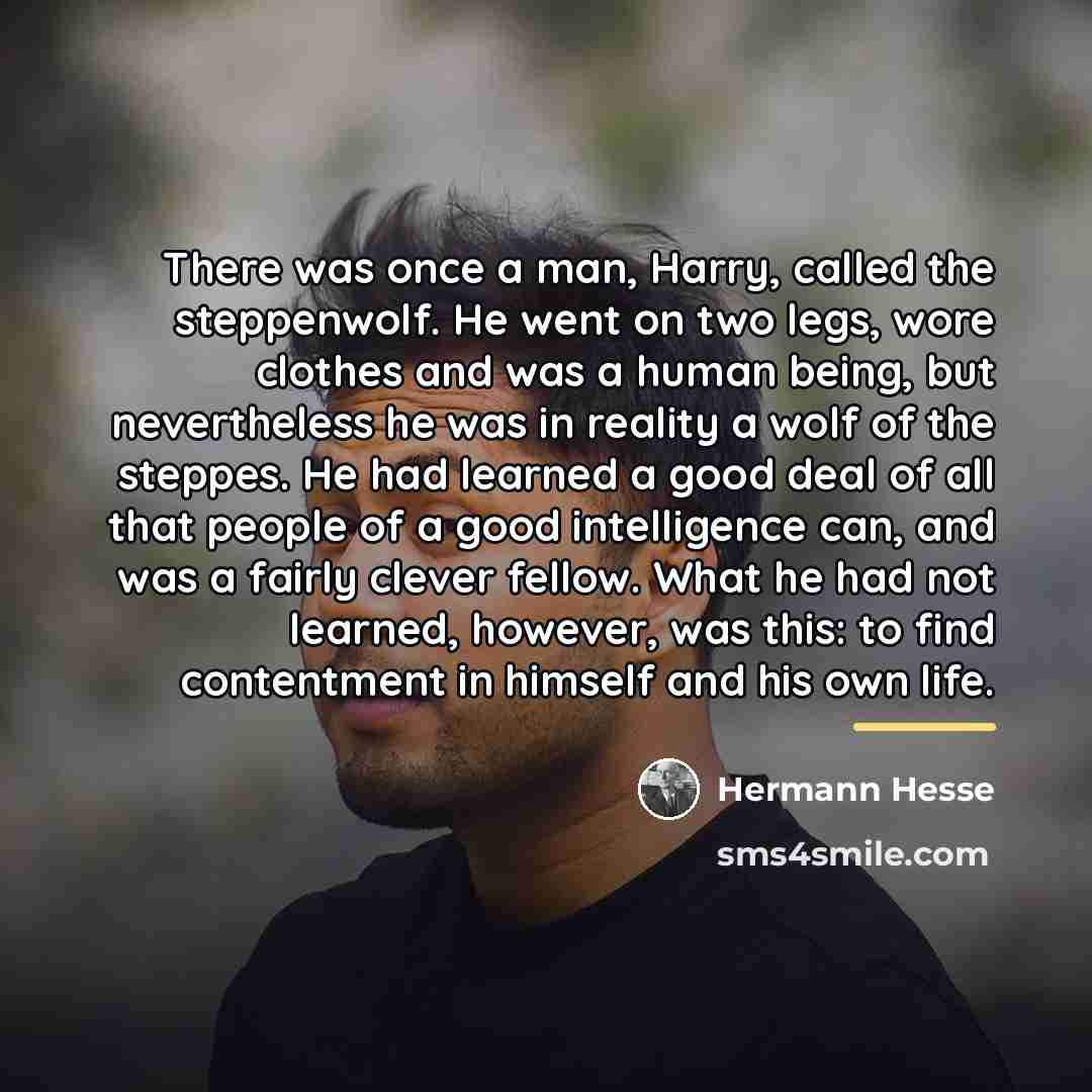 “There was once a man, Harry, called the steppenwolf. He…” quote by Hermann Hesse