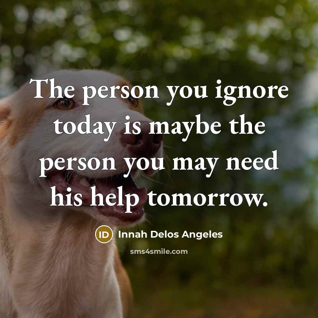 “The person you ignore today is maybe the person you…” quote by Innah Delos Angeles