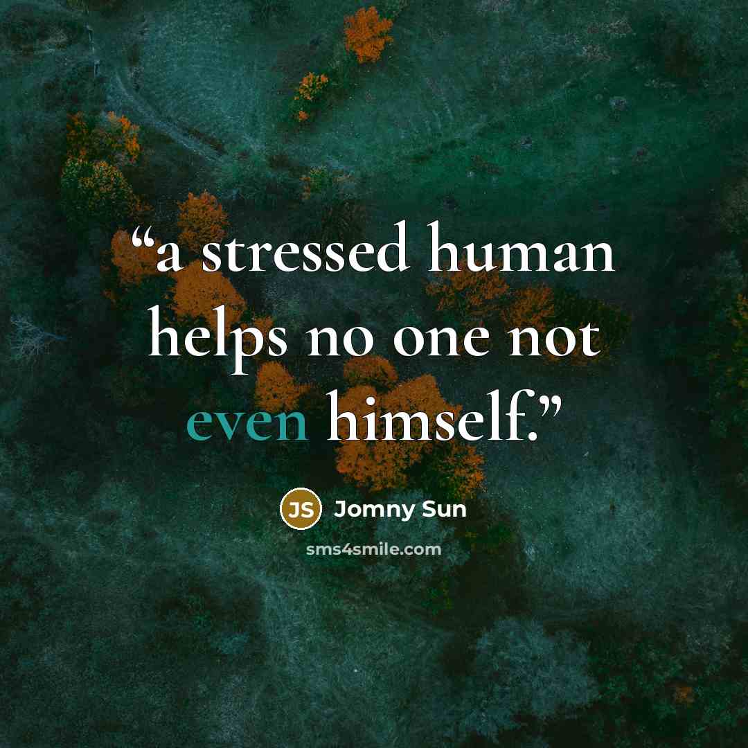 “a stressed human helps no one not even himself.” quote by Jomny Sun