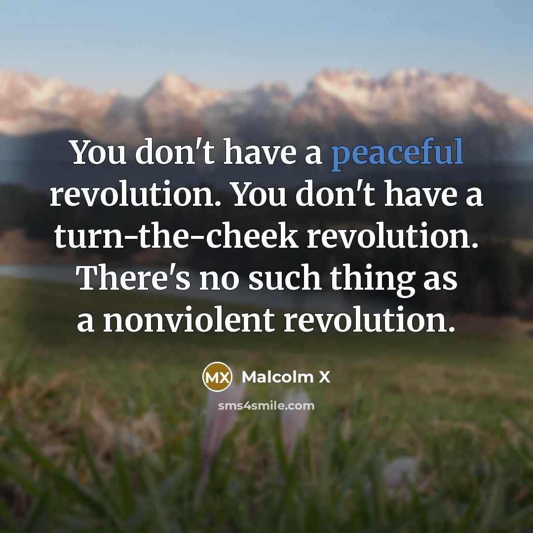 “You don't have a peaceful revolution. You don't have a…” quote by Malcolm X