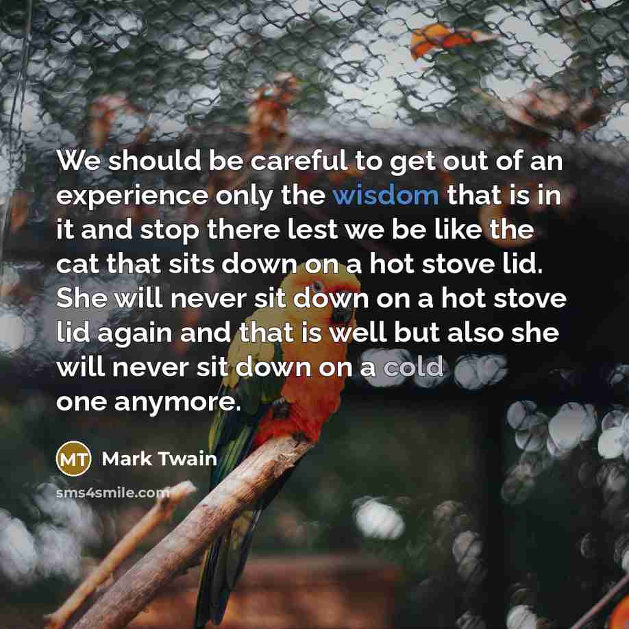 “We should be careful to get out of an experience…” quote by Mark Twain