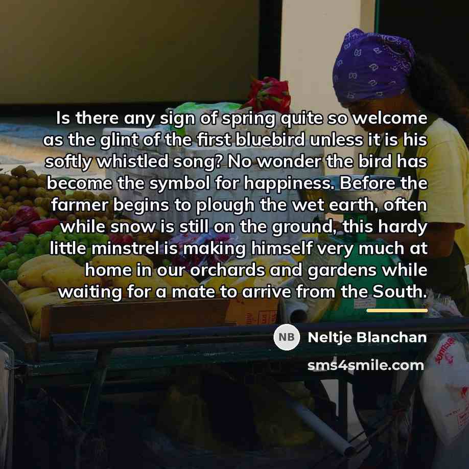 “Is there any sign of spring quite so welcome as…” quote by Neltje Blanchan