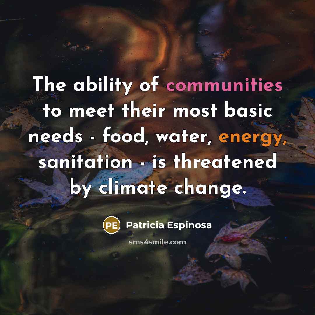 “The ability of communities to meet their most basic needs…” quote by Patricia Espinosa