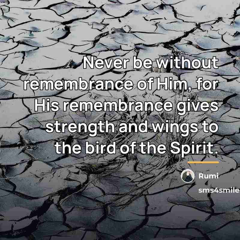 “Never be without remembrance of Him, for His remembrance gives…” quote by Rumi
