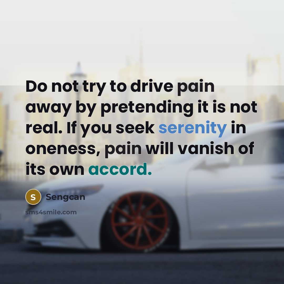 “Do not try to drive pain away by pretending it…” quote by Sengcan