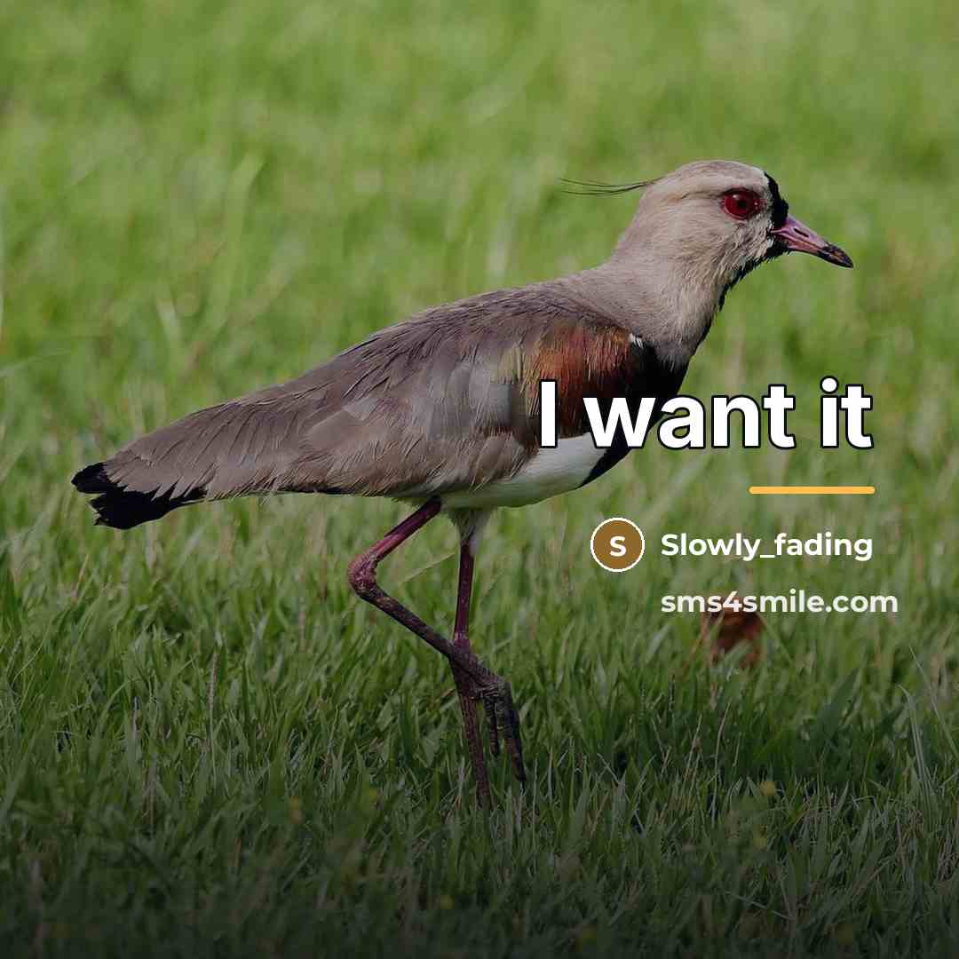 “I want it…” quote by Slowly_fading