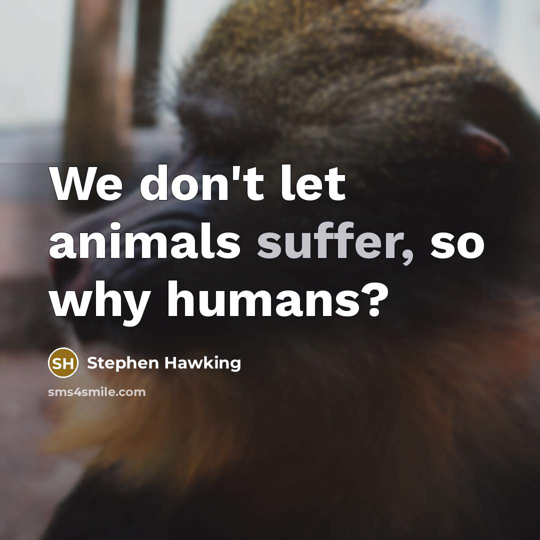“We don't let animals suffer, so why humans?…” quote by Stephen Hawking
