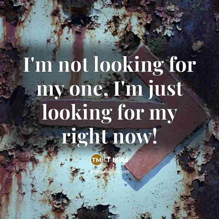 “I'm not looking for my one, I'm just looking for…” quote by T Mills