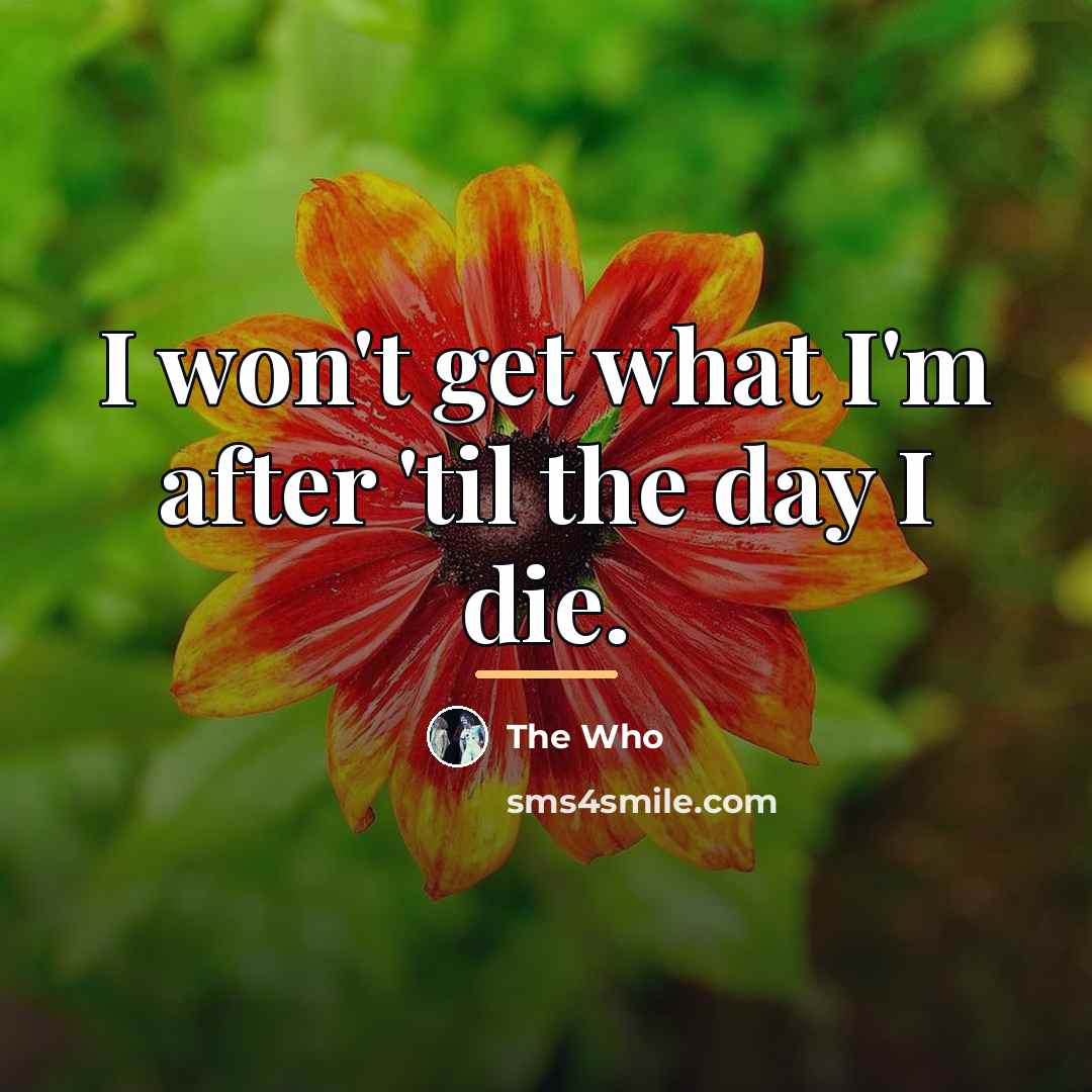 “I won't get what I'm after 'til the day I…” quote by The Who