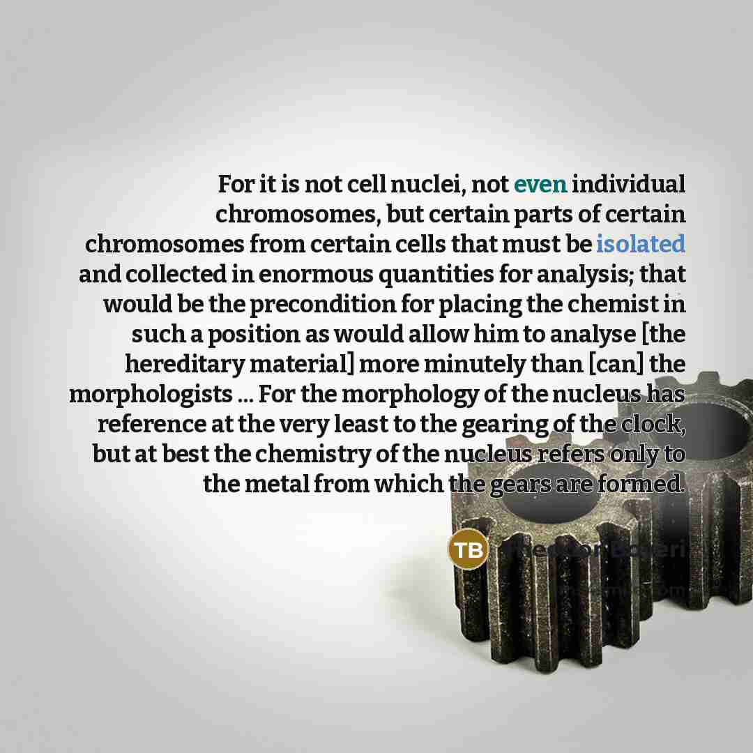 “For it is not cell nuclei, not even individual chromosomes, but certain parts of certain chromosomes from certain cells that must be isolated and collected in enormous quantities for analysis; that would be the precondition for placing the chemist in such a position as would allow him to analyse…” quote by Theodor Boveri