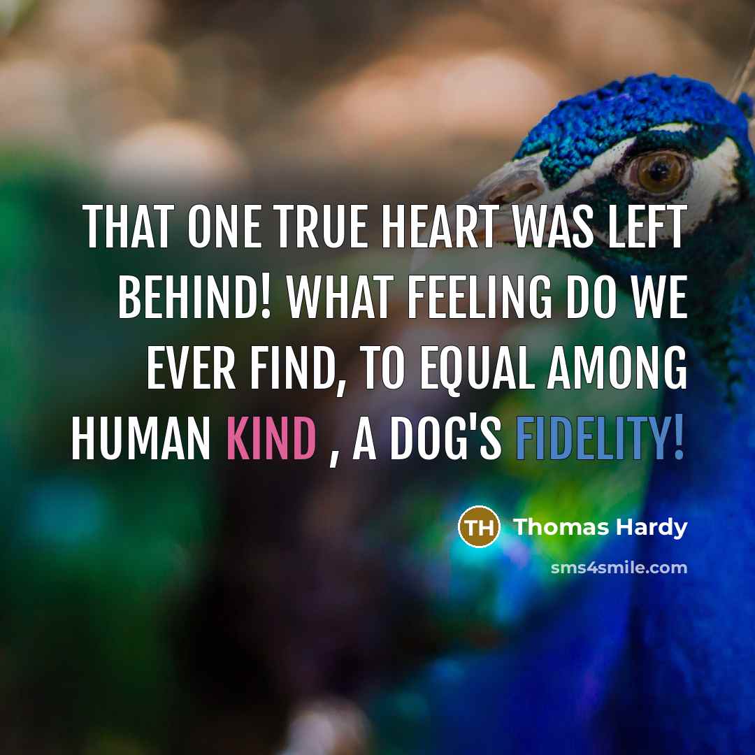 “That one true heart was left behind! What feeling do we ever find, to equal among human kind , a dog's fidelity!” quote by Thomas Hardy