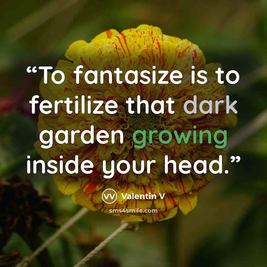 “To fantasize is to fertilize that dark garden growing inside your head.” quote by Valentin V