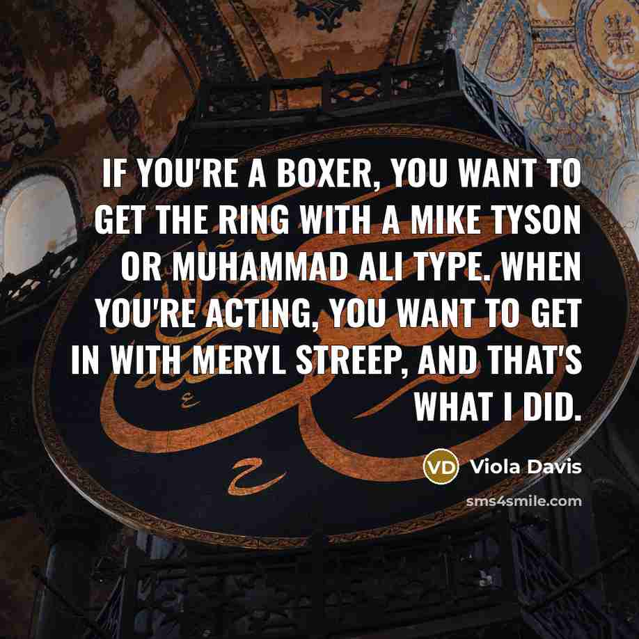 “If you're a boxer, you want to get the ring…” quote by Viola Davis