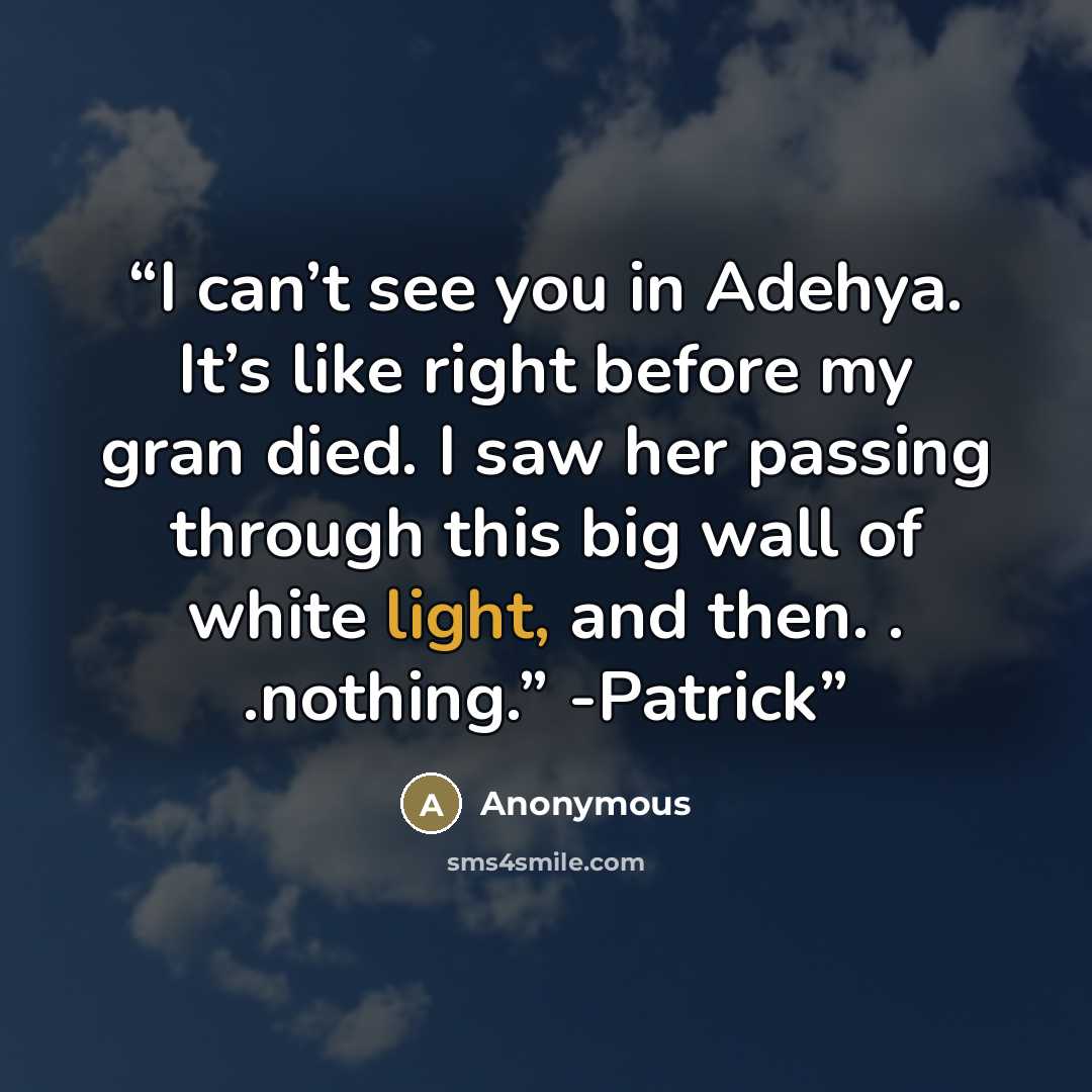“I can’t see you in Adehya. It’s like right before my gran died. I saw her passing through this big wall of white light, and then. . .nothing.” -Patrick” quote by Anonymous
