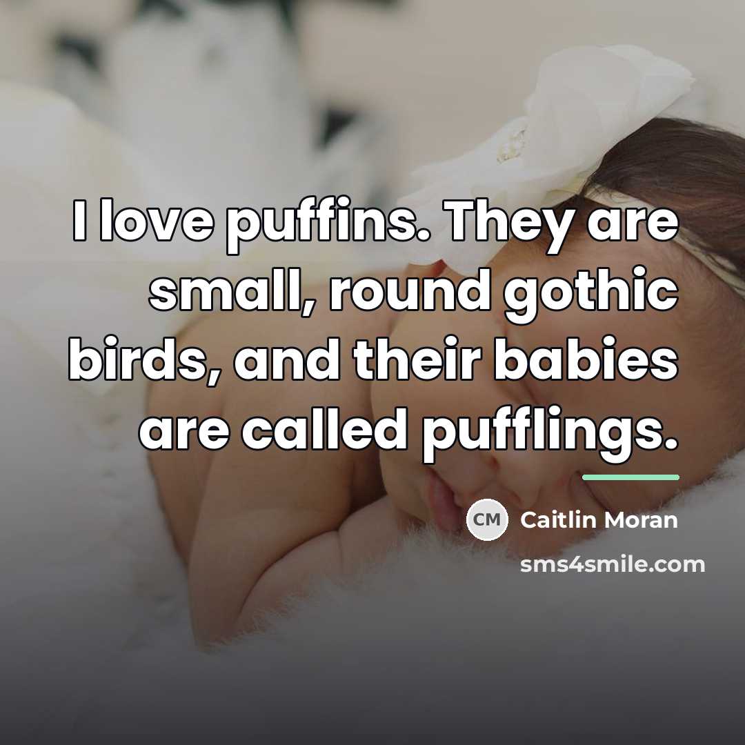 “I love puffins. They are small, round gothic birds, and…” quote by Caitlin Moran