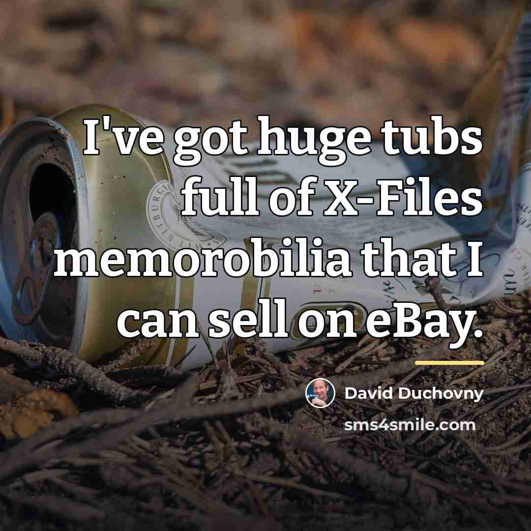 “I've got huge tubs full of X-Files memorobilia that I…” quote by David Duchovny