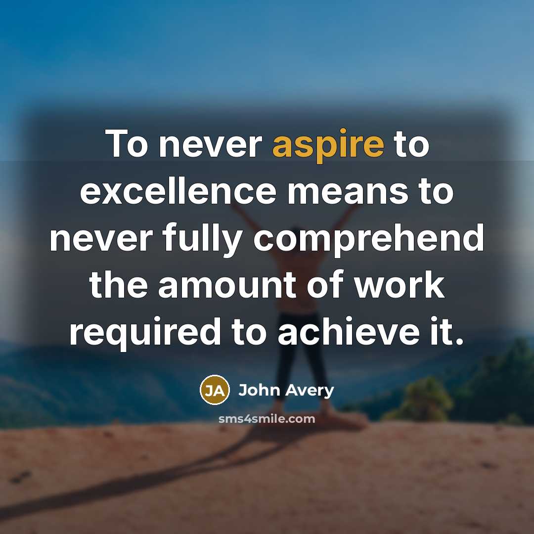 “To never aspire to excellence means to never fully comprehend…” quote by John Avery