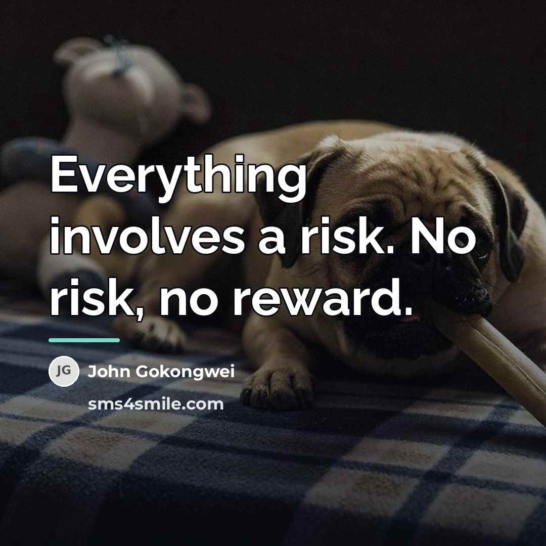 “Everything involves a risk. No risk, no reward.…” quote by John Gokongwei