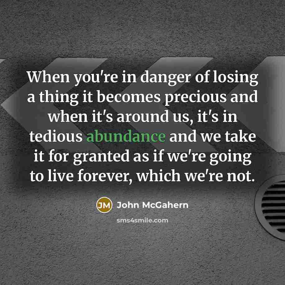 “When you're in danger of losing a thing it becomes…” quote by John McGahern