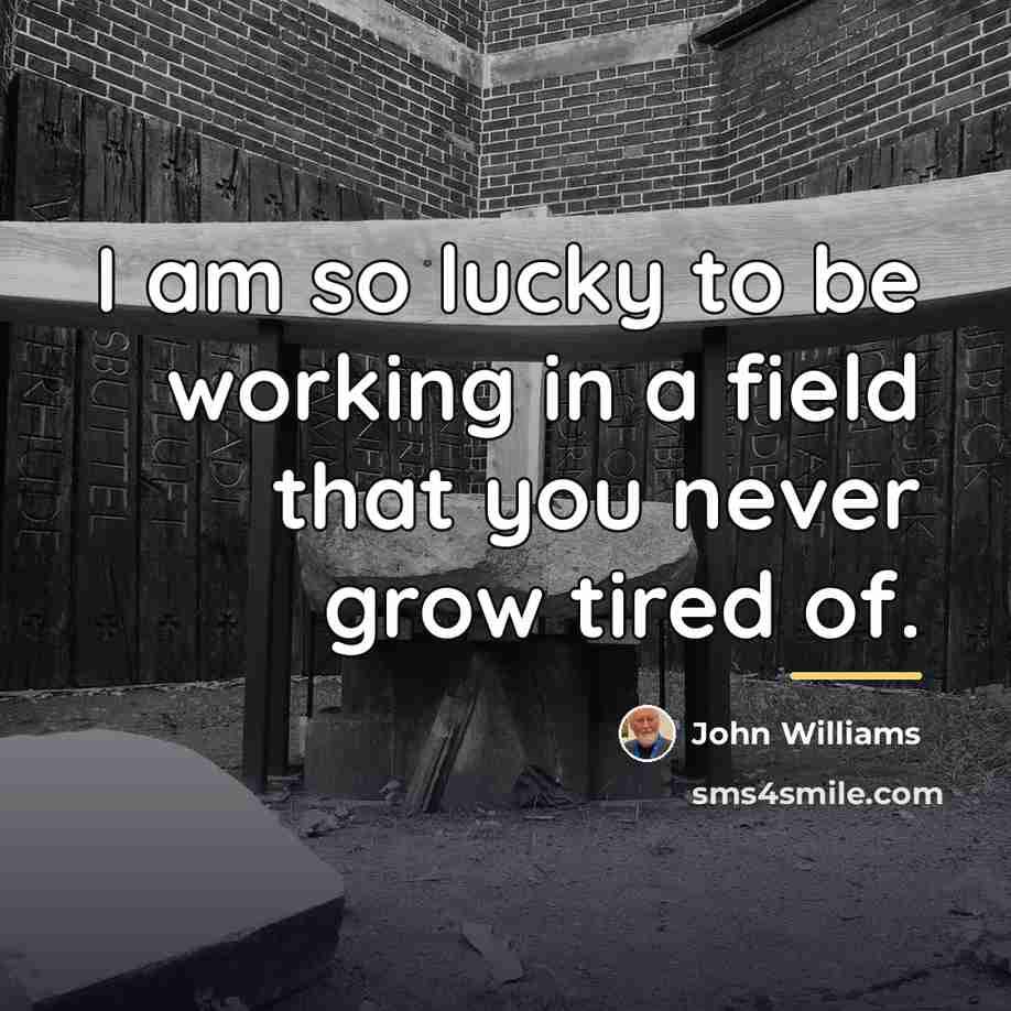 “I am so lucky to be working in a field…” quote by John Williams