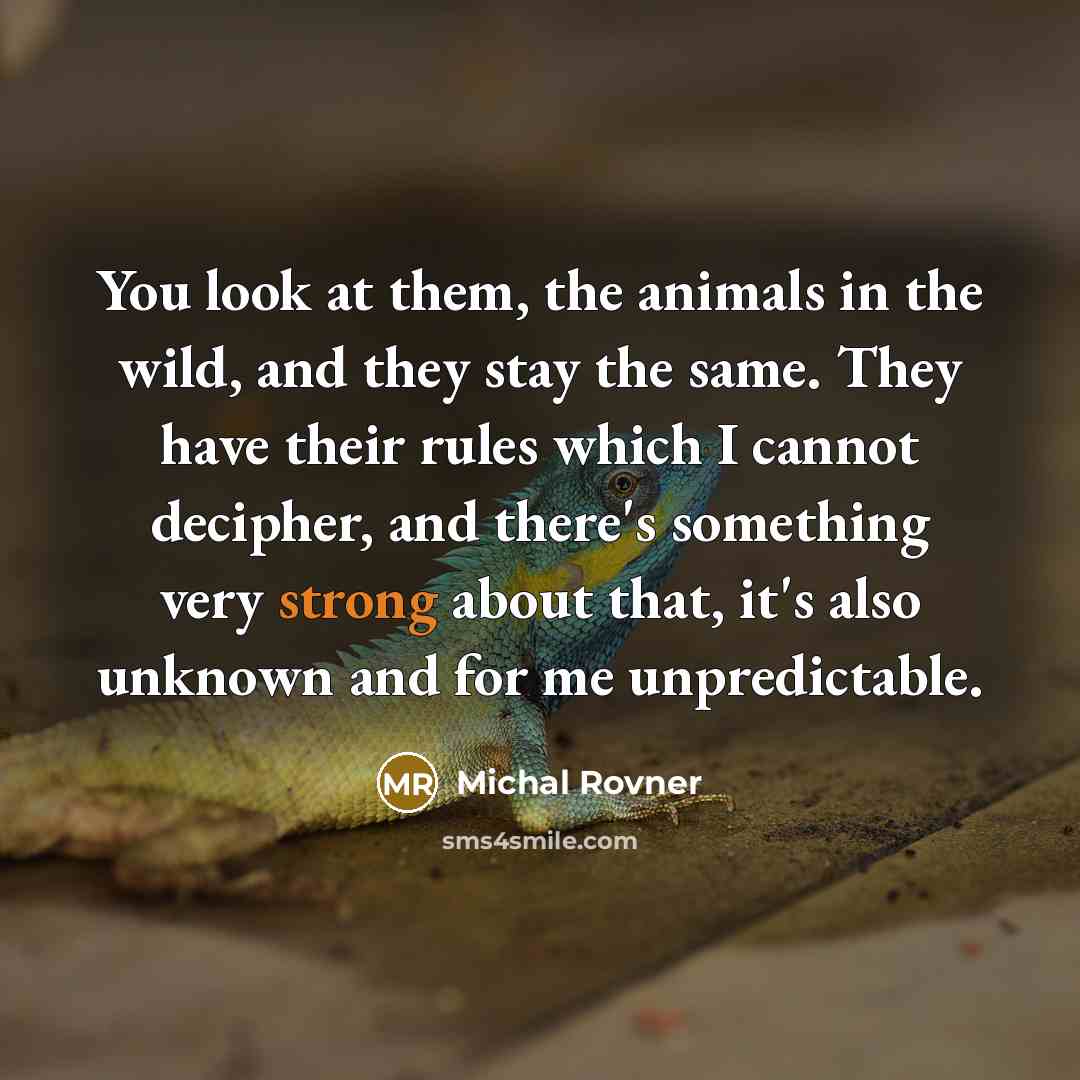“You look at them, the animals in the wild, and…” quote by Michal Rovner