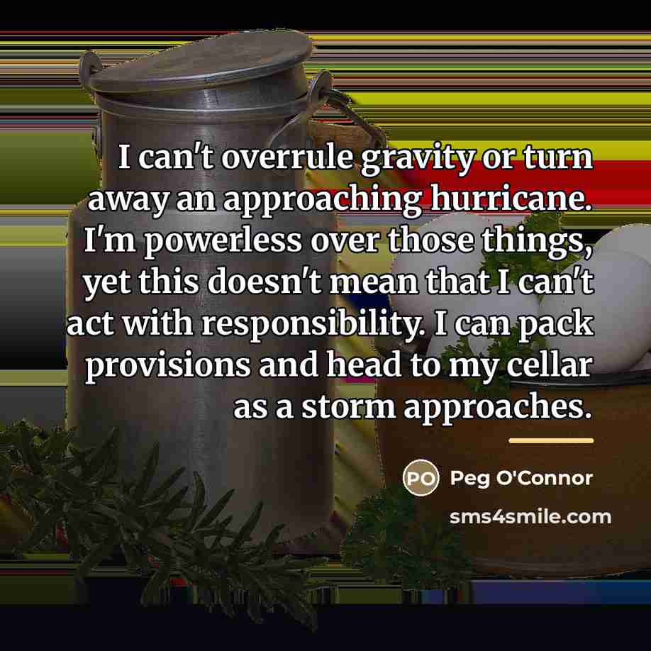 “I can't overrule gravity or turn away an approaching hurricane.…” quote by Peg O'Connor