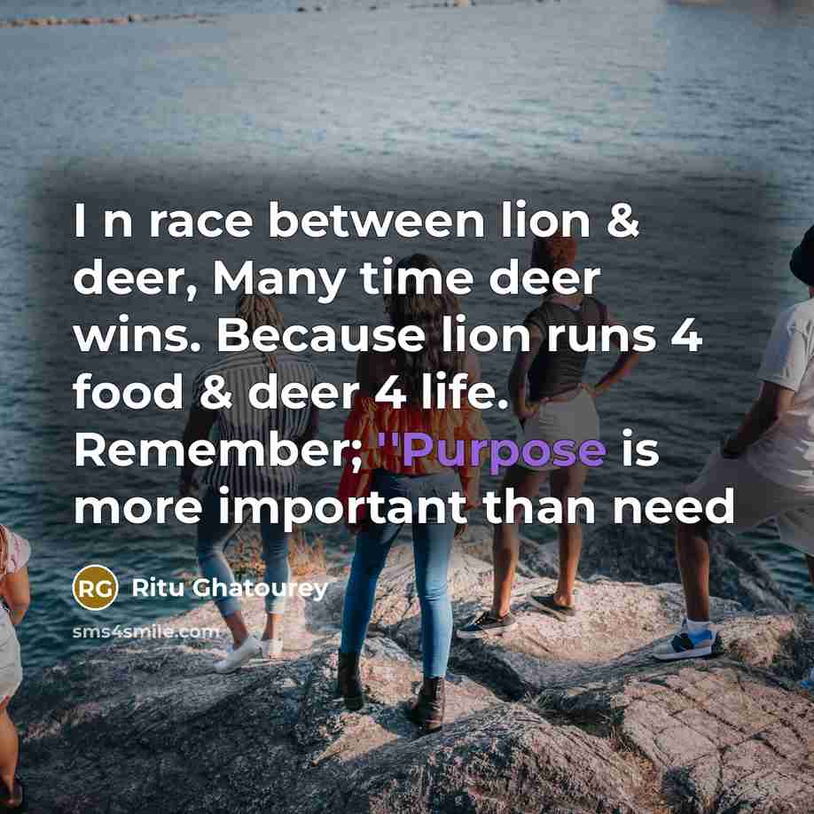 “I n race between lion & deer, Many time deer…” quote by Ritu Ghatourey