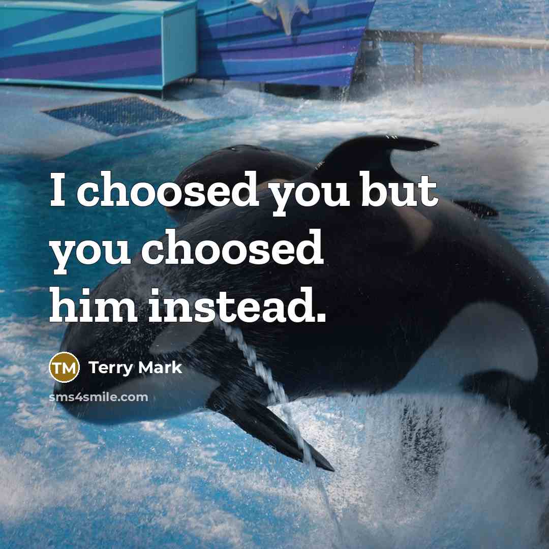 “I choosed you but you choosed him instead.…” quote by Terry Mark