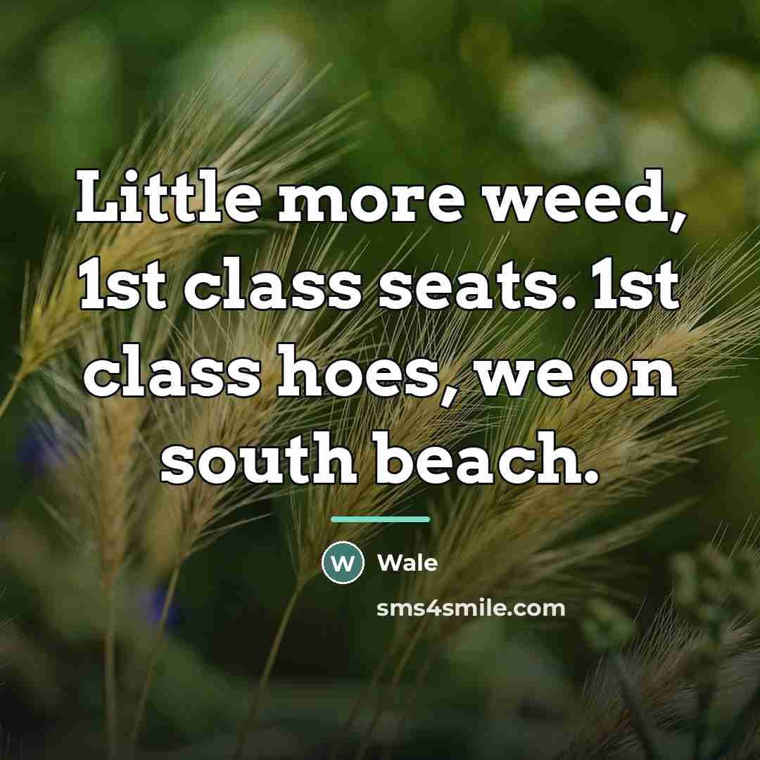 “Little more weed, 1st class seats. 1st class hoes, we…” quote by Wale