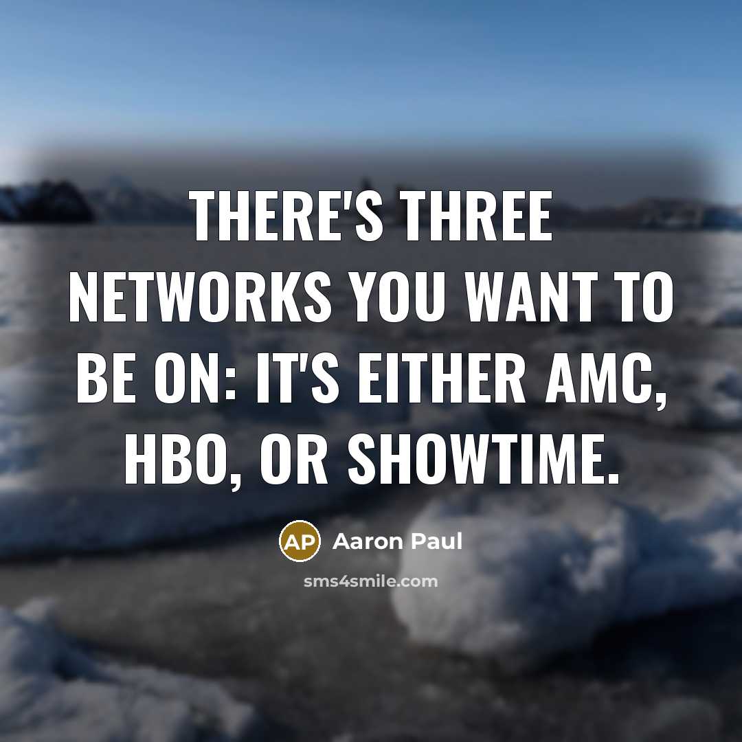 “There's three networks you want to be on: It's either…” quote by Aaron Paul
