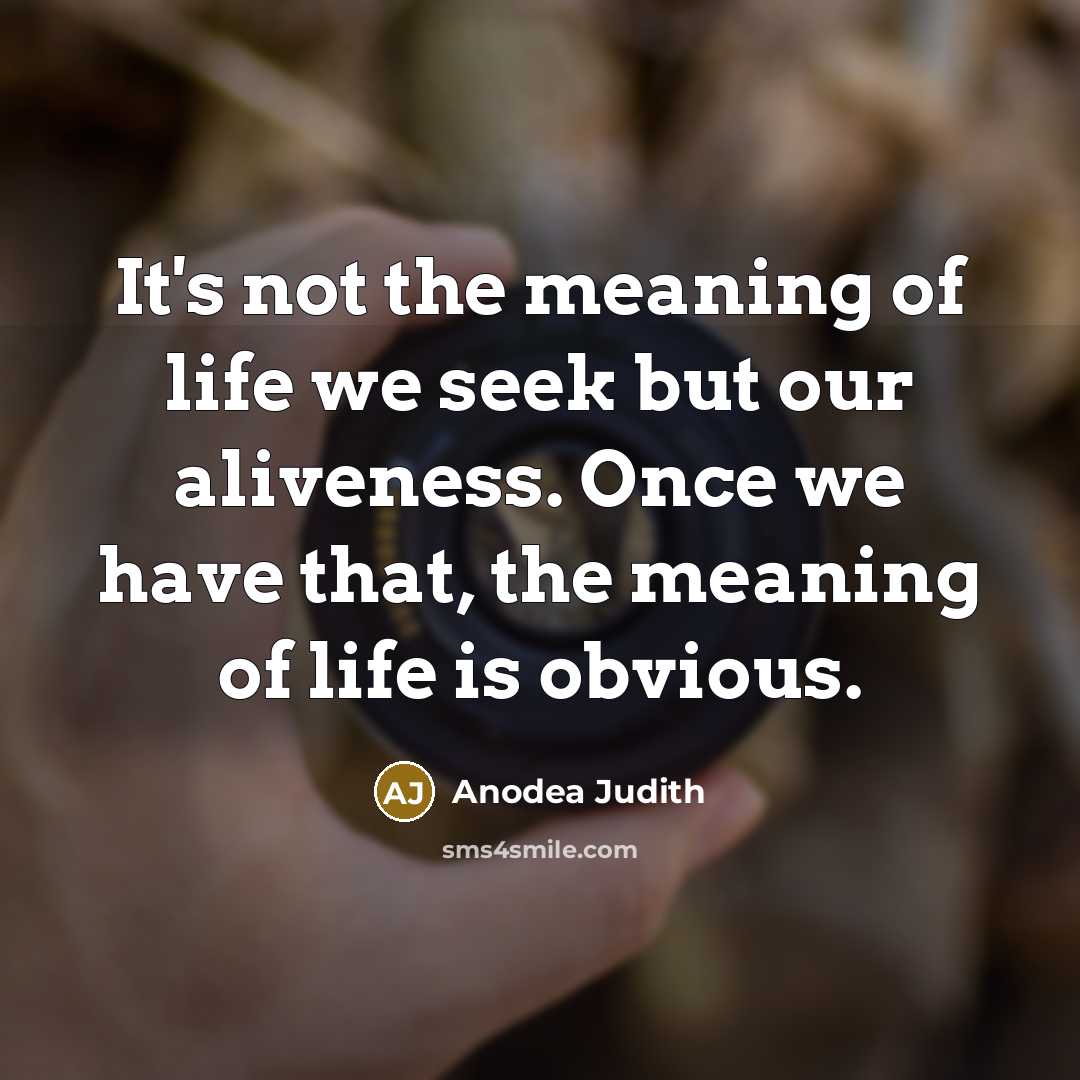 “It's not the meaning of life we seek but our…” quote by Anodea Judith