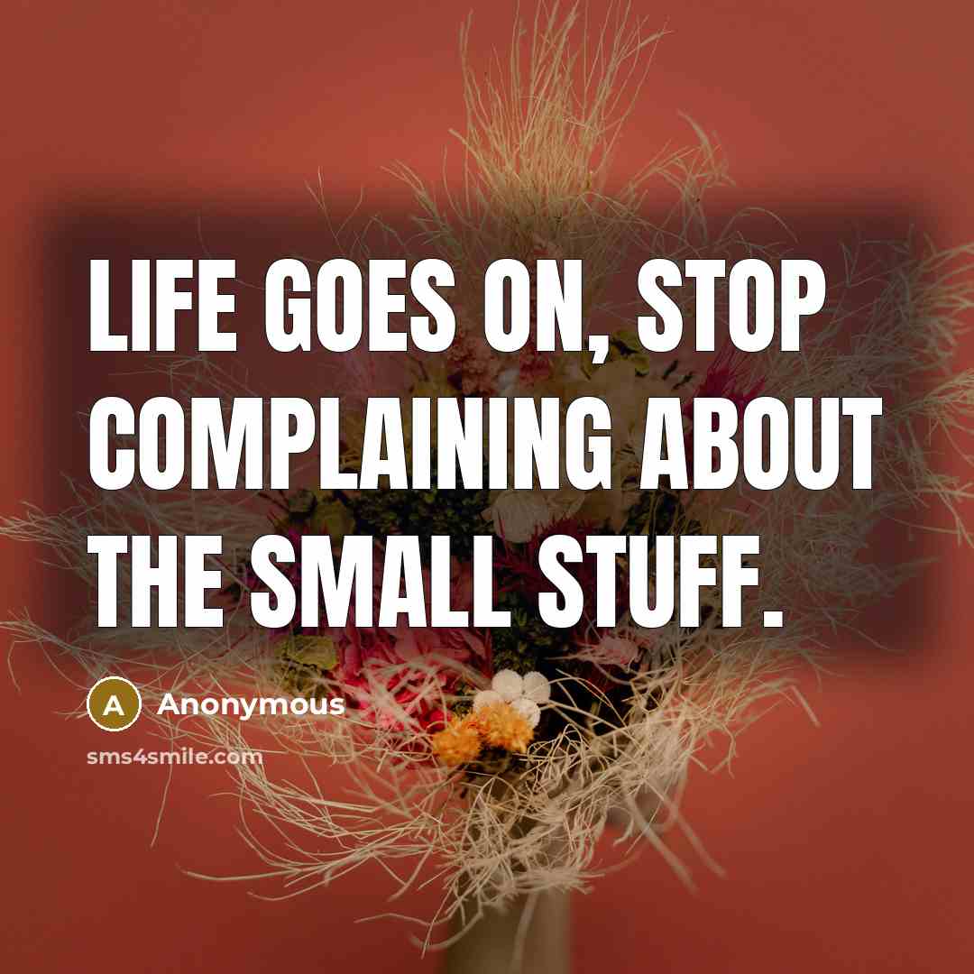 “Life goes on, stop complaining about the small stuff.” quote by Anonymous