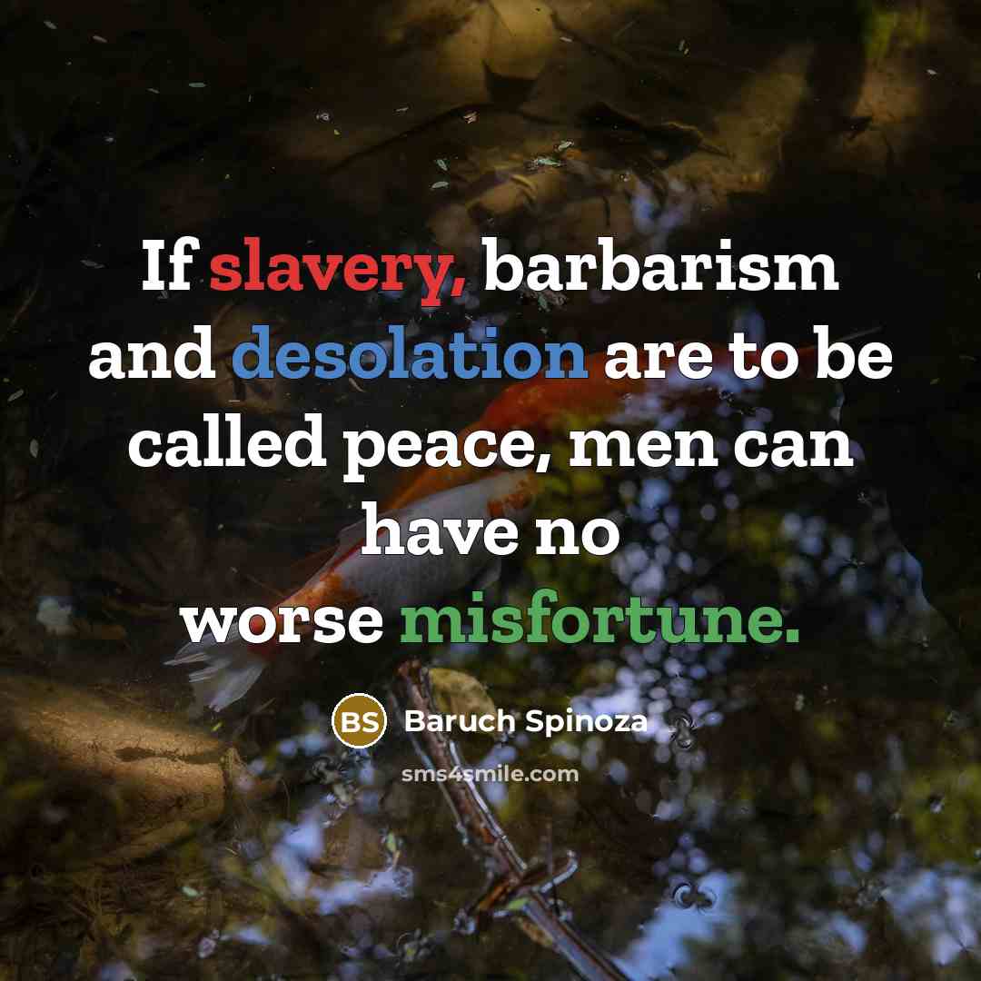 “If slavery, barbarism and desolation are to be called peace,…” quote by Baruch Spinoza