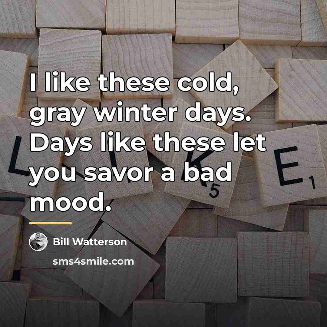 “I like these cold, gray winter days. Days like these…” quote by Bill Watterson