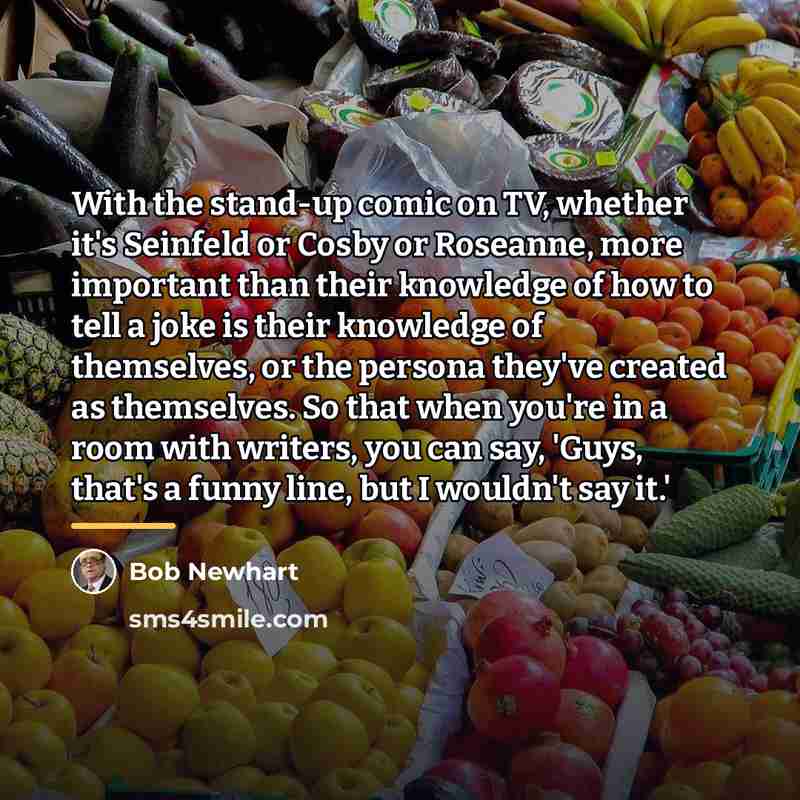 “With the stand-up comic on TV, whether it's Seinfeld or…” quote by Bob Newhart