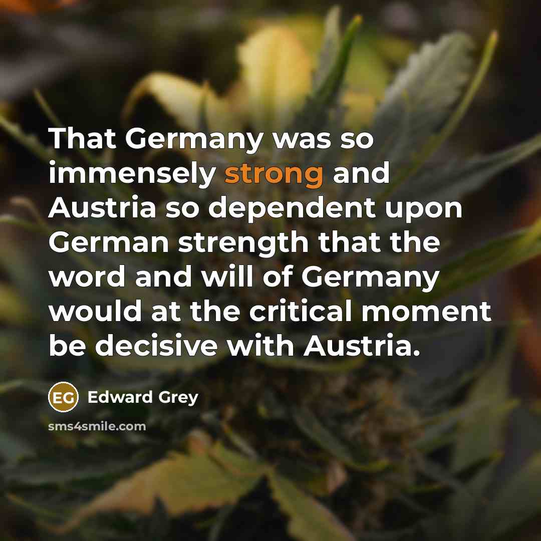“That Germany was so immensely strong and Austria so dependent…” quote by Edward Grey