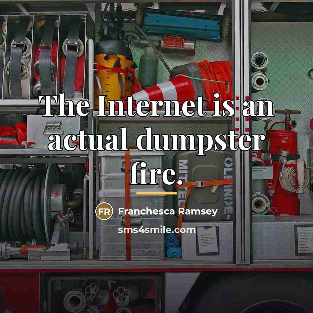 “The Internet is an actual dumpster fire.…” quote by Franchesca Ramsey