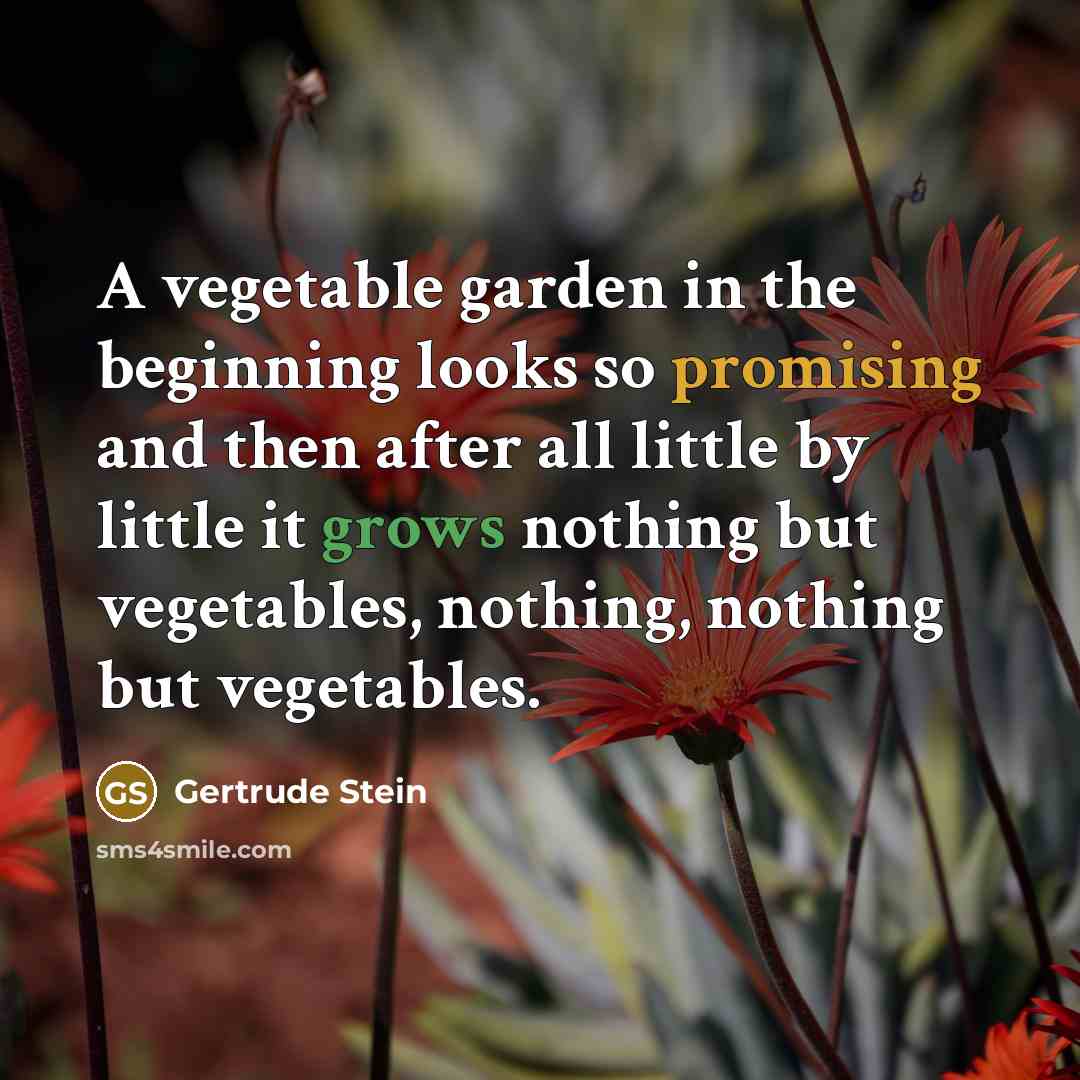 “A vegetable garden in the beginning looks so promising and then after all little by little it grows nothing but vegetables, nothing, nothing but vegetables.” quote by Gertrude Stein