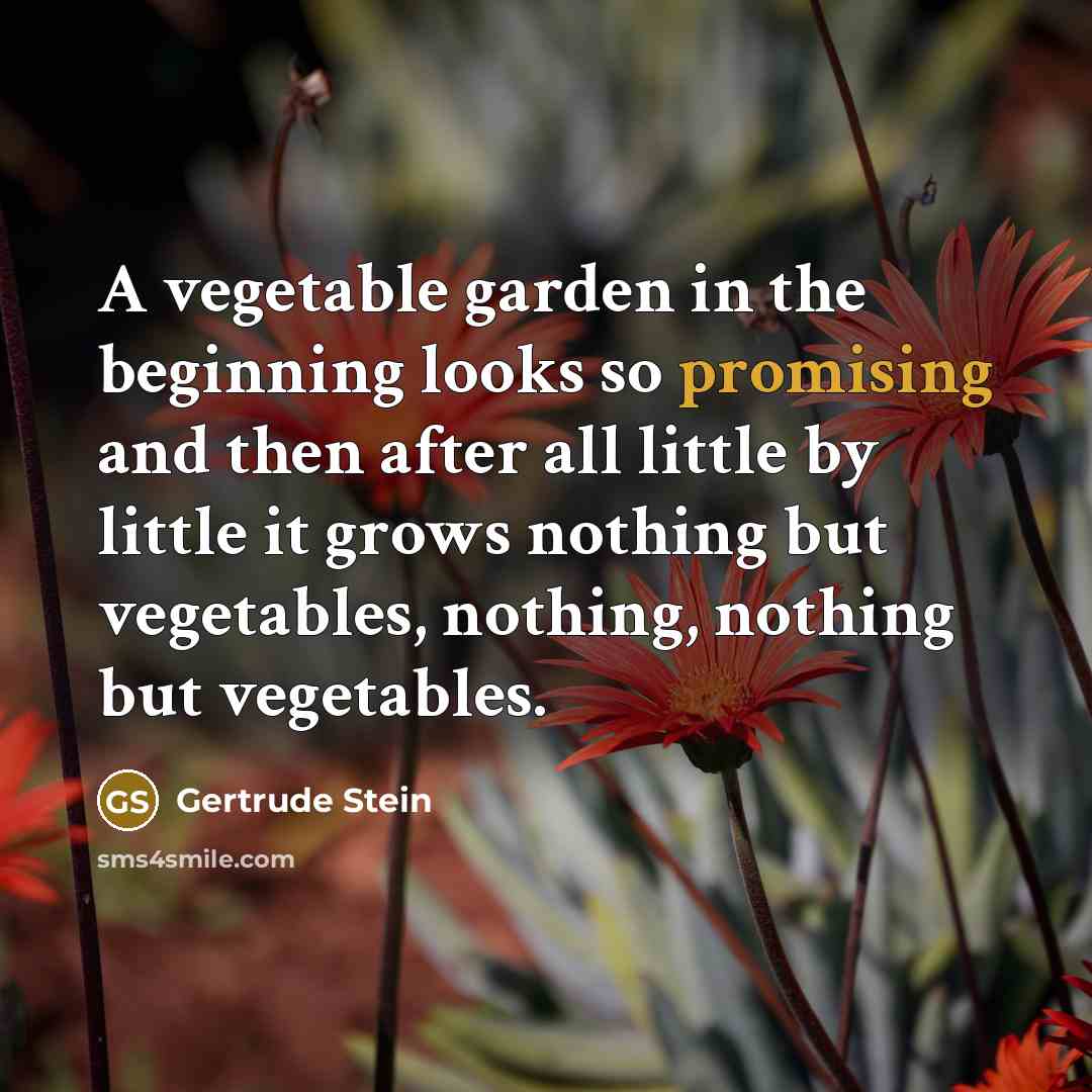 “A vegetable garden in the beginning looks so promising and…” quote by Gertrude Stein