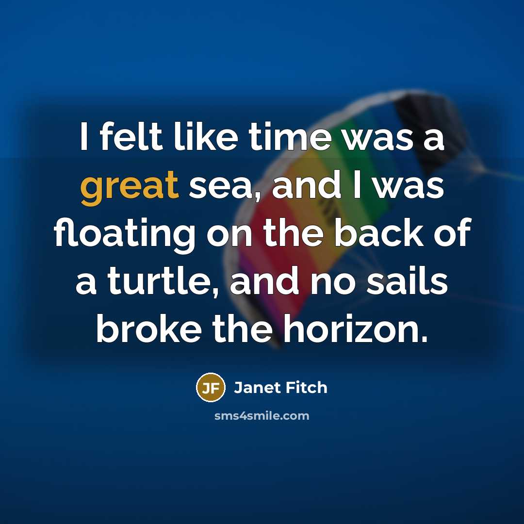 “I felt like time was a great sea, and I…” quote by Janet Fitch