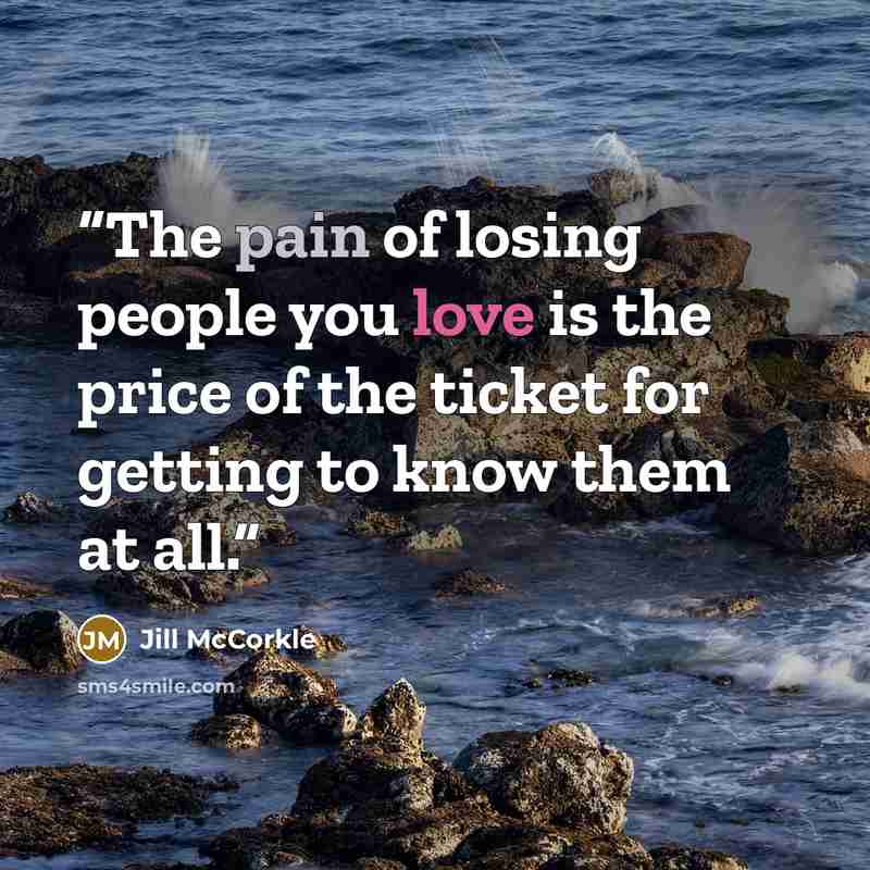 “The pain of losing people you love is the price of the ticket for getting to know them at all.” quote by Jill McCorkle