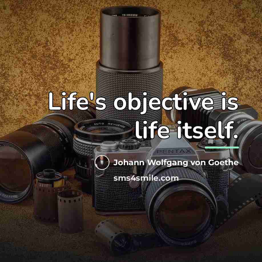 “Life's objective is life itself.…” quote by Johann Wolfgang von Goethe