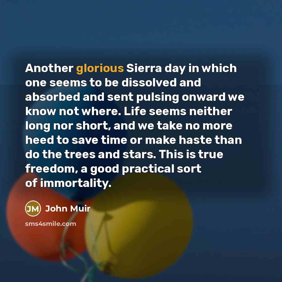 “Another glorious Sierra day in which one seems to be…” quote by John Muir